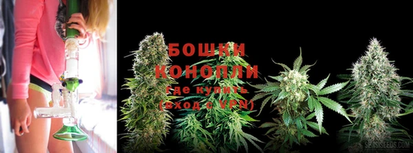 Альфа ПВП Заволжск