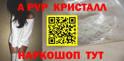 индика Моздок