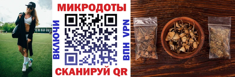 omg как зайти  Спасск-Дальний  Псилоцибиновые грибы Psilocybine cubensis 