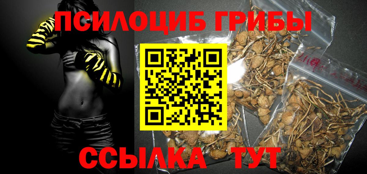 Спасск-Дальний  Псилоцибиновые грибы Psilocybe  Псилоцибиновые грибы GOLDEN TEACHER  Вход с VPN 