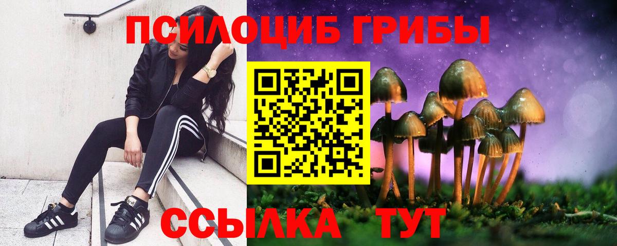 Галлюциногенные грибы ЛСД  Спасск-Дальний  Псилоцибиновые грибы Psilocybine cubensis 